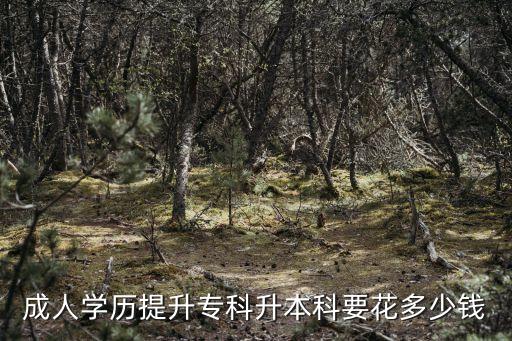成人學(xué)歷提升?？粕究埔ǘ嗌馘X(qián)