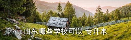 山東哪些學(xué)?？梢?專(zhuān)升本