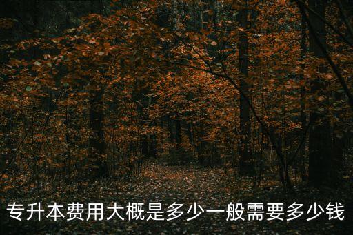 哈爾濱應(yīng)屆生專升本學(xué)費(fèi)多少錢,應(yīng)屆生專升本報名費(fèi)多少