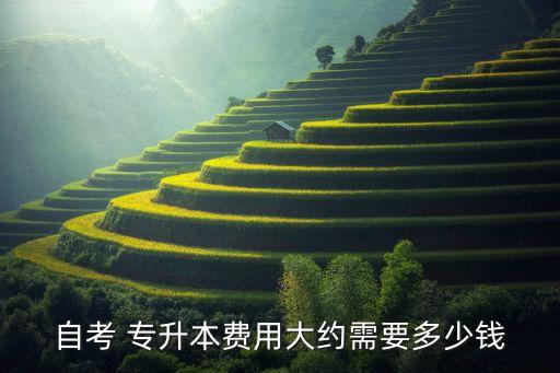 自考 專升本費用大約需要多少錢