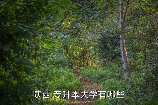 陜西 專升本大學(xué)有哪些