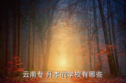 云南專(zhuān) 升本的學(xué)校有哪些