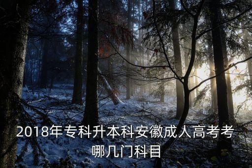 2018年?？粕究瓢不粘扇烁呖伎寄膸组T科目