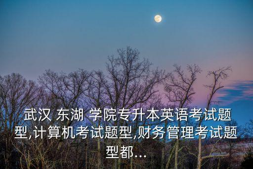  武漢 東湖 學(xué)院專升本英語考試題型,計算機(jī)考試題型,財務(wù)管理考試題型都...