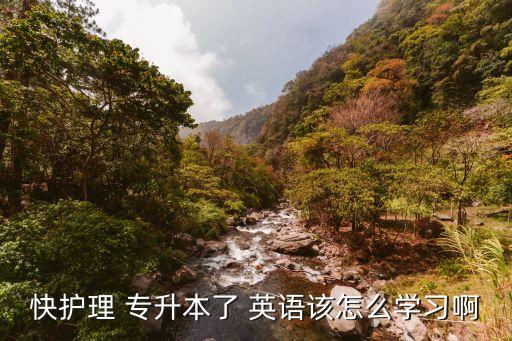 專(zhuān)升本英語(yǔ)高頻詞匯,山東專(zhuān)升本英語(yǔ)高頻詞匯
