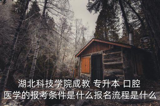 湖北口腔醫(yī)學專業(yè)專升本學校有哪些專業(yè)