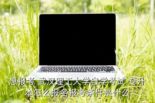 想報(bào)考 武漢理工大學(xué)自學(xué)考試 專升本怎么報(bào)名報(bào)考條件是什么