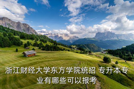 浙江財經大學東方學院統(tǒng)招 專升本專業(yè)有哪些可以報考