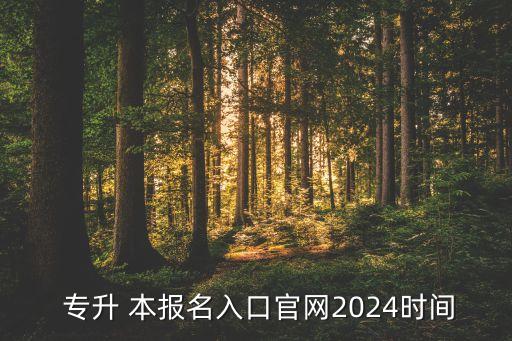  專升 本報(bào)名入口官網(wǎng)2024時(shí)間