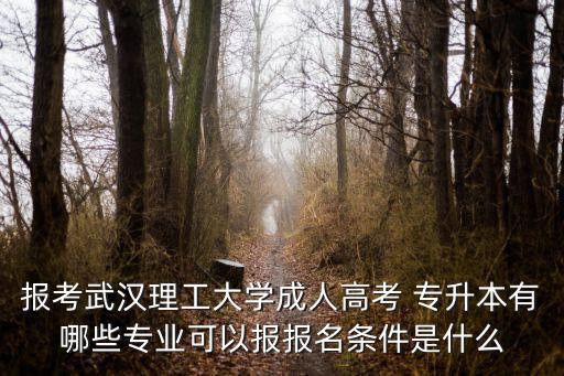 報考武漢理工大學(xué)成人高考 專升本有哪些專業(yè)可以報報名條件是什么