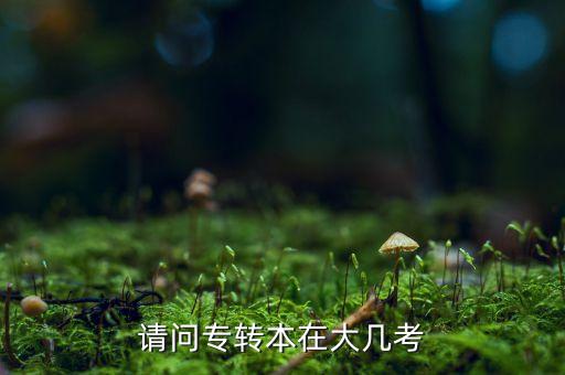 統(tǒng)招專升本大幾考試時間
