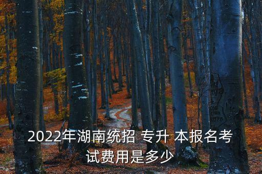 2022年湖南統招 專升 本報名考試費用是多少