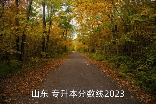 山東 專升本分?jǐn)?shù)線2023
