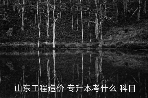  山東工程造價 專升本考什么 科目