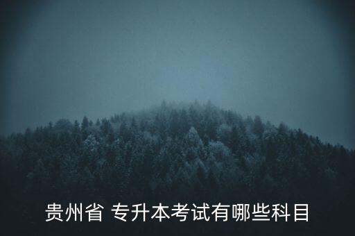 貴州大學高考專升本