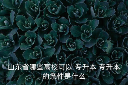 山東省哪些高?？梢?專升本 專升本的條件是什么
