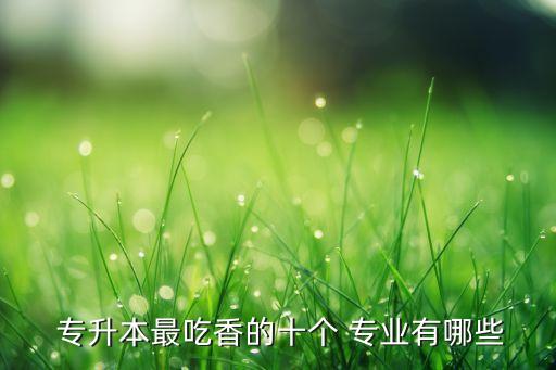  專升本最吃香的十個 專業(yè)有哪些