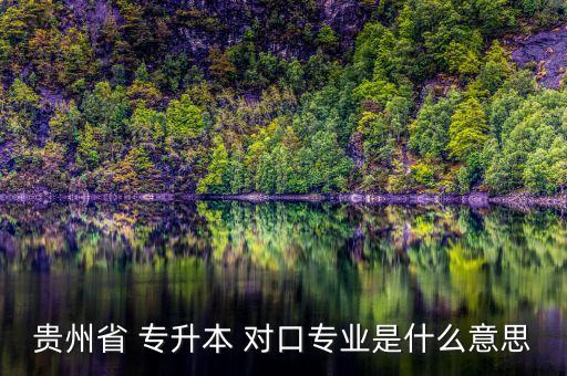 貴州省 專(zhuān)升本 對(duì)口專(zhuān)業(yè)是什么意思