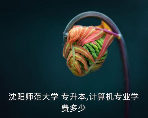 沈陽師范大學(xué) 專升本,計算機(jī)專業(yè)學(xué)費多少
