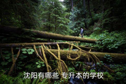 沈陽(yáng)農(nóng)業(yè)專(zhuān)升本