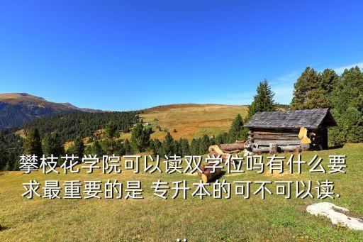  攀枝花學院可以讀雙學位嗎有什么要求最重要的是 專升本的可不可以讀...