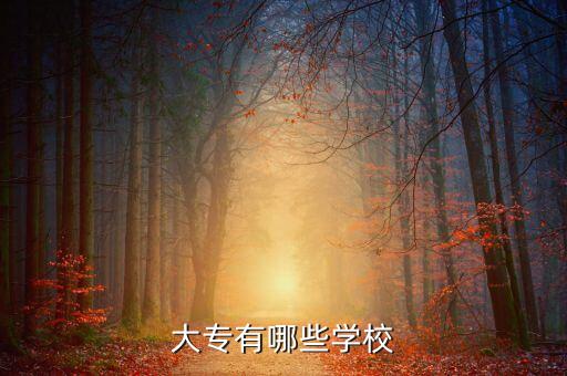 山西藝術(shù)職業(yè)學院專升本