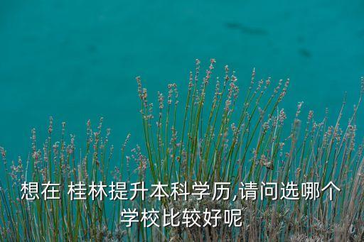想在 桂林提升本科學(xué)歷,請(qǐng)問選哪個(gè)學(xué)校比較好呢