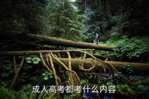 成人高考都考什么內容