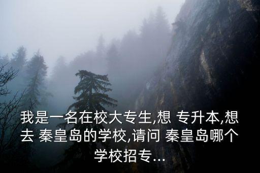 秦皇島專(zhuān)升本考前培訓(xùn),專(zhuān)升本考前培訓(xùn)是什么意思