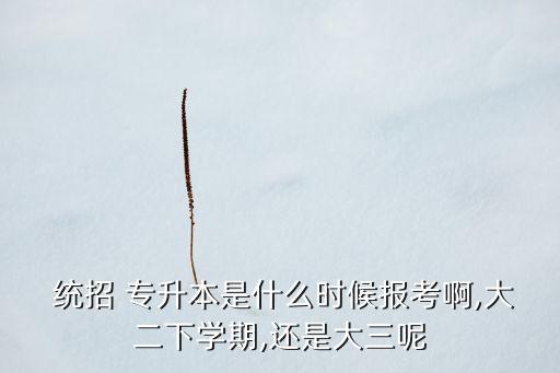  統(tǒng)招 專(zhuān)升本是什么時(shí)候報(bào)考啊,大二下學(xué)期,還是大三呢