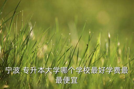寧波 專升本大學哪個學校最好學費最最便宜