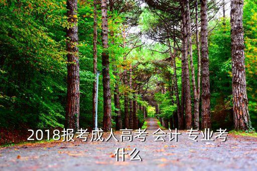 2018報(bào)考成人高考 會計(jì) 專業(yè)考什么