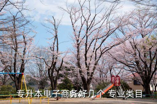  專(zhuān)升本電子商務(wù)好幾個(gè) 專(zhuān)業(yè)類(lèi)目