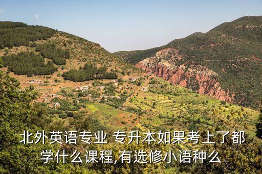  北外英語(yǔ)專(zhuān)業(yè) 專(zhuān)升本如果考上了都學(xué)什么課程,有選修小語(yǔ)種么
