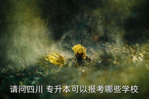 請問四川 專升本可以報考哪些學校