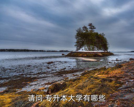 請(qǐng)問(wèn) 專升本大學(xué)有哪些
