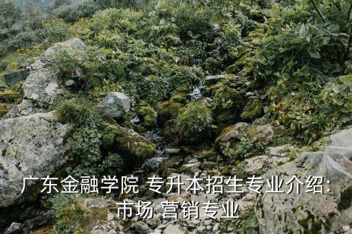 廣東金融學(xué)院 專升本招生專業(yè)介紹: 市場(chǎng) 營銷專業(yè)