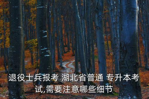 退役士兵報考 湖北省普通 專升本考試,需要注意哪些細(xì)節(jié)