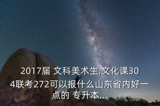 2017屆 文科美術生,文化課304聯考272可以報什么山東省內好一點的 專升本...