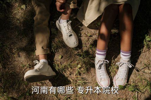 河南有哪些 專(zhuān)升本院校