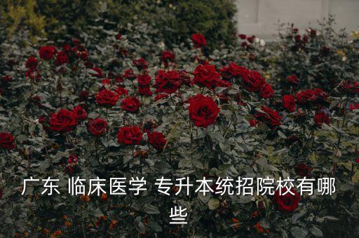 廣東 臨床醫(yī)學 專升本統(tǒng)招院校有哪些
