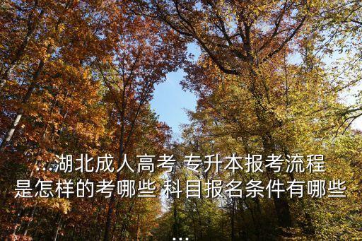 ...湖北成人高考 專升本報考流程是怎樣的考哪些 科目報名條件有哪些...