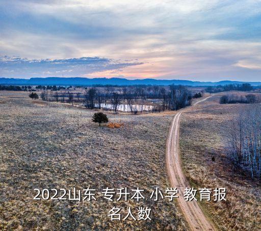 2022山東 專升本 小學(xué) 教育報名人數(shù)