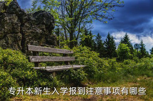  專升本新生入學(xué)報(bào)到注意事項(xiàng)有哪些