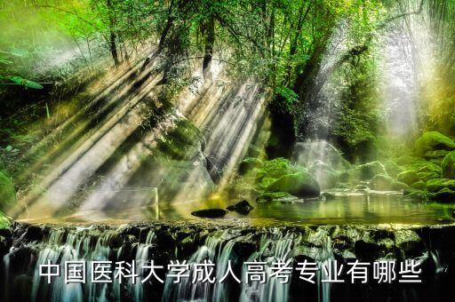  中國(guó)醫(yī)科大學(xué)成人高考專(zhuān)業(yè)有哪些