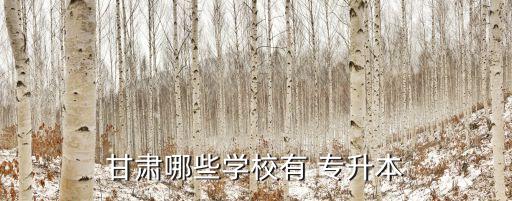 甘肅哪些學校有 專升本