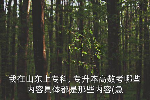 我在山東上?？? 專升本高數(shù)考哪些內(nèi)容具體都是那些內(nèi)容(急