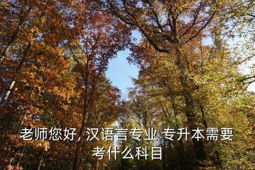 老師您好, 漢語(yǔ)言專業(yè) 專升本需要考什么科目
