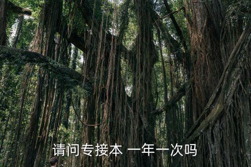 請問專接本 一年一次嗎