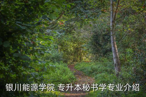 寧夏專升本計算機(jī)題庫,網(wǎng)絡(luò)教育專升本計算機(jī)統(tǒng)考題庫